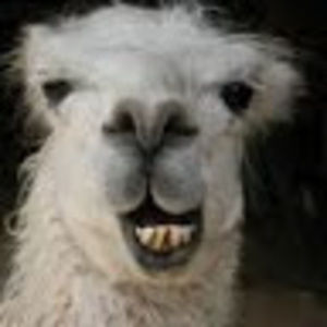 Meet your Posher, Delaney